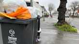 New bin service cost council £2m more than expected