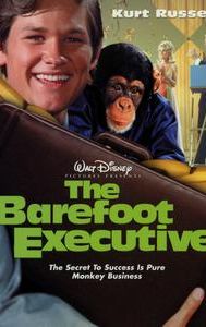 The Barefoot Executive