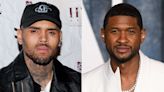 Chris Brown and Usher Both Take the Stage at Las Vegas Music Festival After Alleged Fight