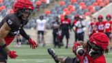 AT LONG LAST: Speed demon Kalil Pimpleton to make much-anticipated CFL debut for Redblacks