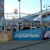 Heal the Bay Aquarium