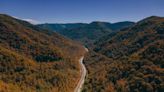 Rare, lungless ‘mascot of the mountains’ is in danger, scientists say. Here’s why