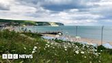 Dorset's Big Picture: 10 June - 16 June 2024