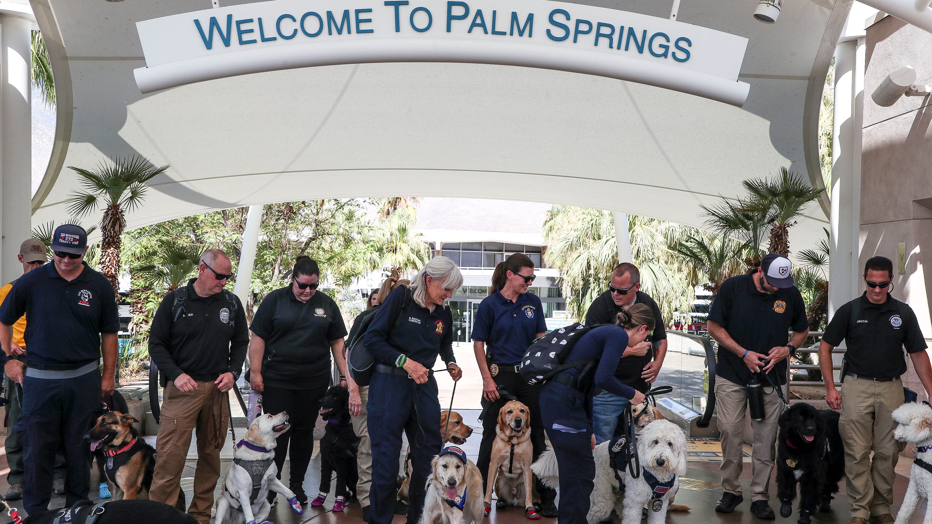 Photos: K9s and handlers from across the country train at Palm Springs International
