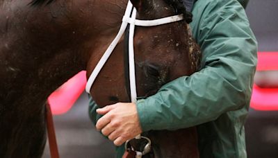 12 horse deaths last year at Churchill Downs brought change to Kentucky Derby