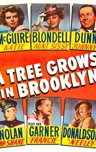 A Tree Grows in Brooklyn (1945 film)