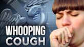 LFCHD confirms 7 more cases of whooping cough