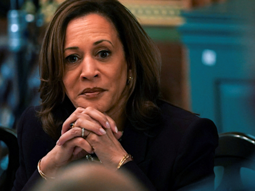 'Desperate', 'disgusting': White House on 'sexist' and 'racist' remarks on Kamala Harris - Times of India