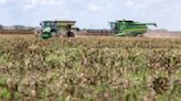 South Texas farmers are in peril as land runs dry — again