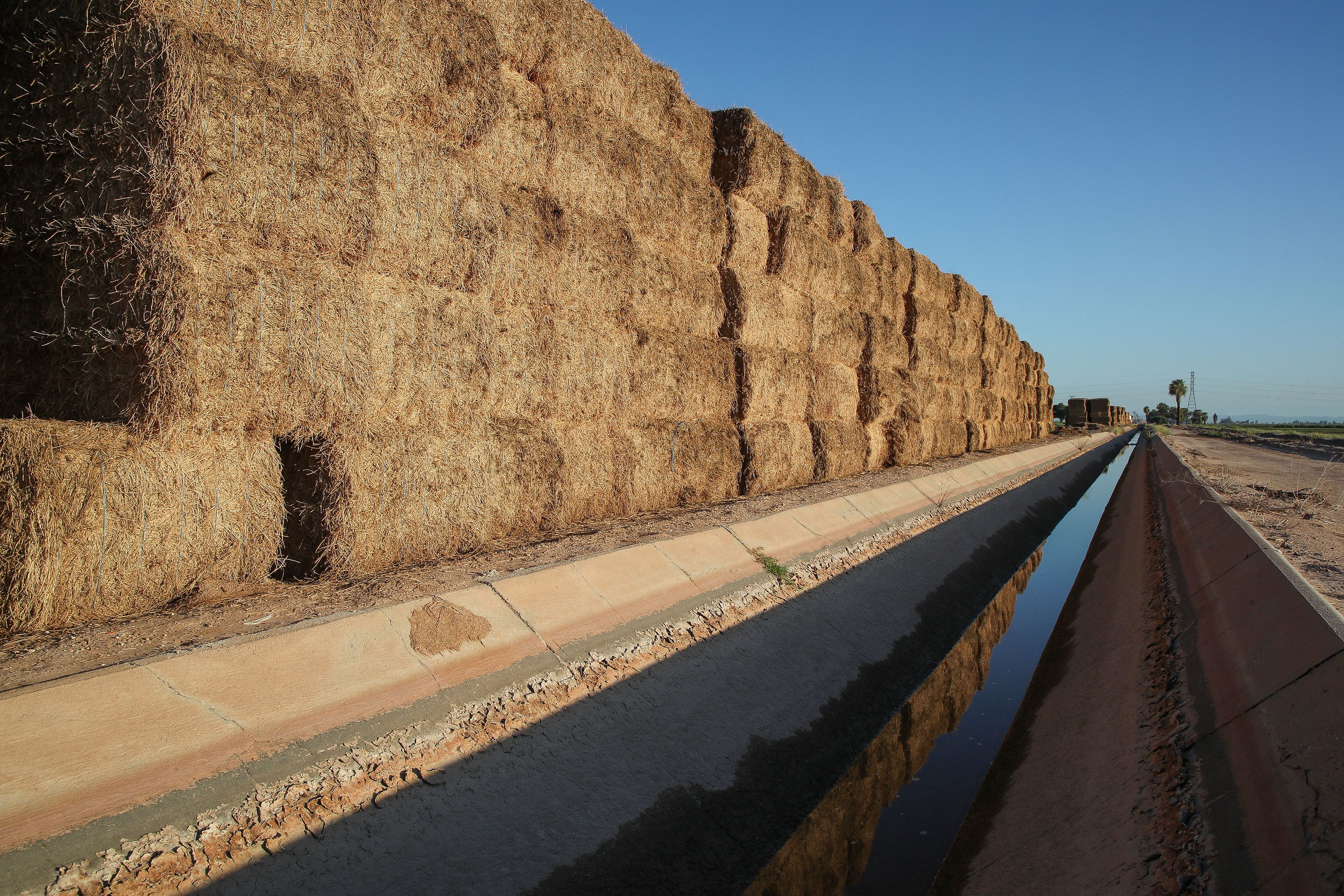 California to mandate statewide water restrictions up to nearly 40% in some cities