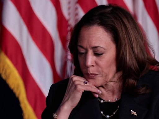 ¿Puede Kamala Harris derrotar a Trump? Esto dicen las encuestas