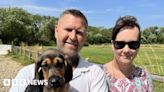 Ipswich widow's campaign to set up canine search and rescue unit