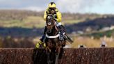 Two-time Cheltenham Festival winner Shishkin dies after freak stable accident