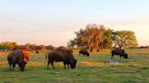 If You Love "Yellowstone," Your Next Vacation Should Be At A Dude Ranch