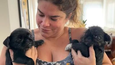 Priscila Fantin adota cães após história comovente: "Descuido"