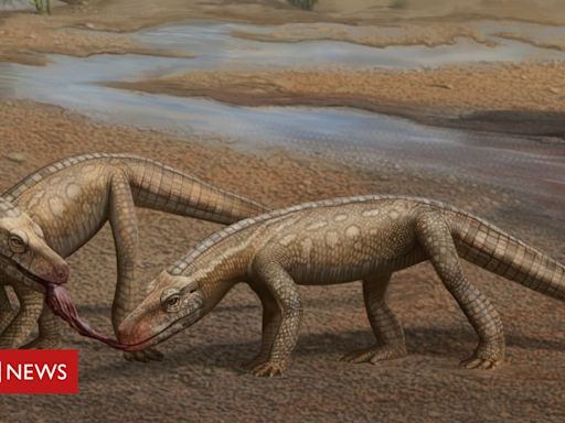 Palenteologia: o novo réptil de 237 milhões de anos de idade descoberto no Brasil