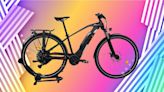 Celebrate the Incoming Summer by Switching to an E-Bike During This Huge Memorial Day Sale at Upway