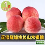 【享吃鮮果】正宗鮮採拉拉山水蜜桃1箱(1.3kg±10%/約8顆)