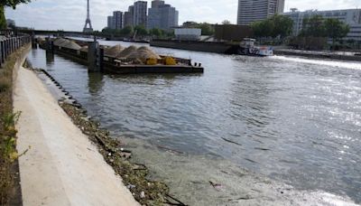 As Olympics near, pollution in Paris’s Seine is still too high - National | Globalnews.ca