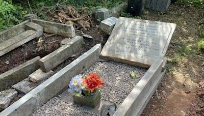 'Distressed' family offer reward for stolen headstone