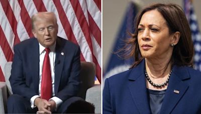 Former US President Donald Trump's 'Indian Or Black?' Remark On VP Kamala Harris Draws Sharp Criticism From White House
