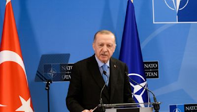 Turkey and NATO: Through the Looking-Glass