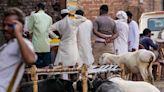 Social Media Post On Alleged 'Animal Slaughter' Sparks Communal Tensions, Vandalism In Himachal's Nahan