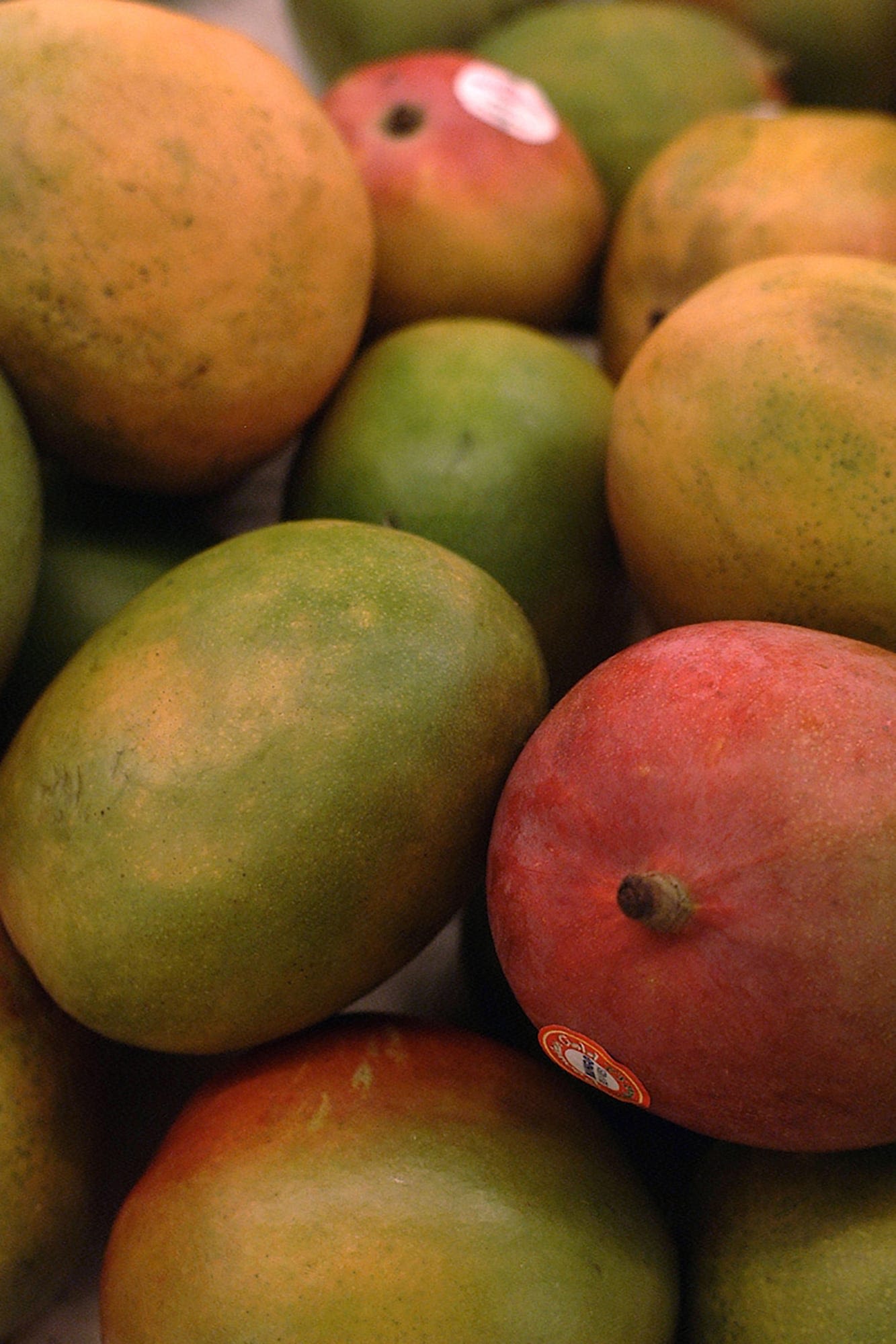 Top 5 things to do this weekend in SW FL: Mango festival returns to Pine Island