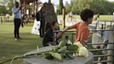 Imputado por "intento de asesinato" el agresor del parque infantil de Annecy en Francia