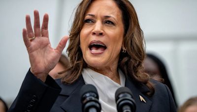 "I Know Trump's Type", Says Kamala Harris As She Launches Election Campaign