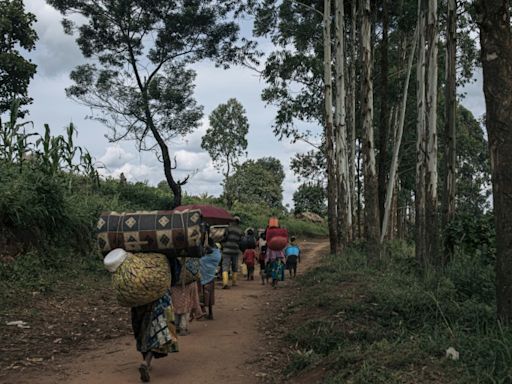 Rwandan troops fought alongside M23 rebels in DR Congo: UN experts