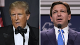 DeSantis holds 14-point lead over Trump in hypothetical match-up: poll