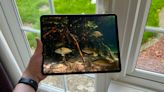 iPad Pro OLED: release date rumours, predicted price and specs