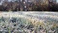 Protect your plants: Nighttime freezes to chill Northeast into Friday