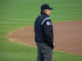 Bob Davidson (umpire)