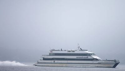 Seastreak ferry business thrives at New Bedford's pier. It's making its case to the state