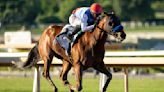 Preakness Stakes favorite Muth scratched due to fever