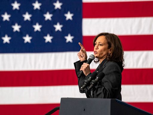 Kamala Harris quickly moves to secure endorsements and delegate pledges heading into Democratic convention