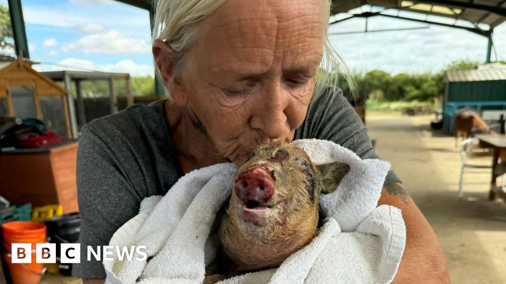 Jaywick fire: Peppa pig recovering after being rescued from 'inferno'