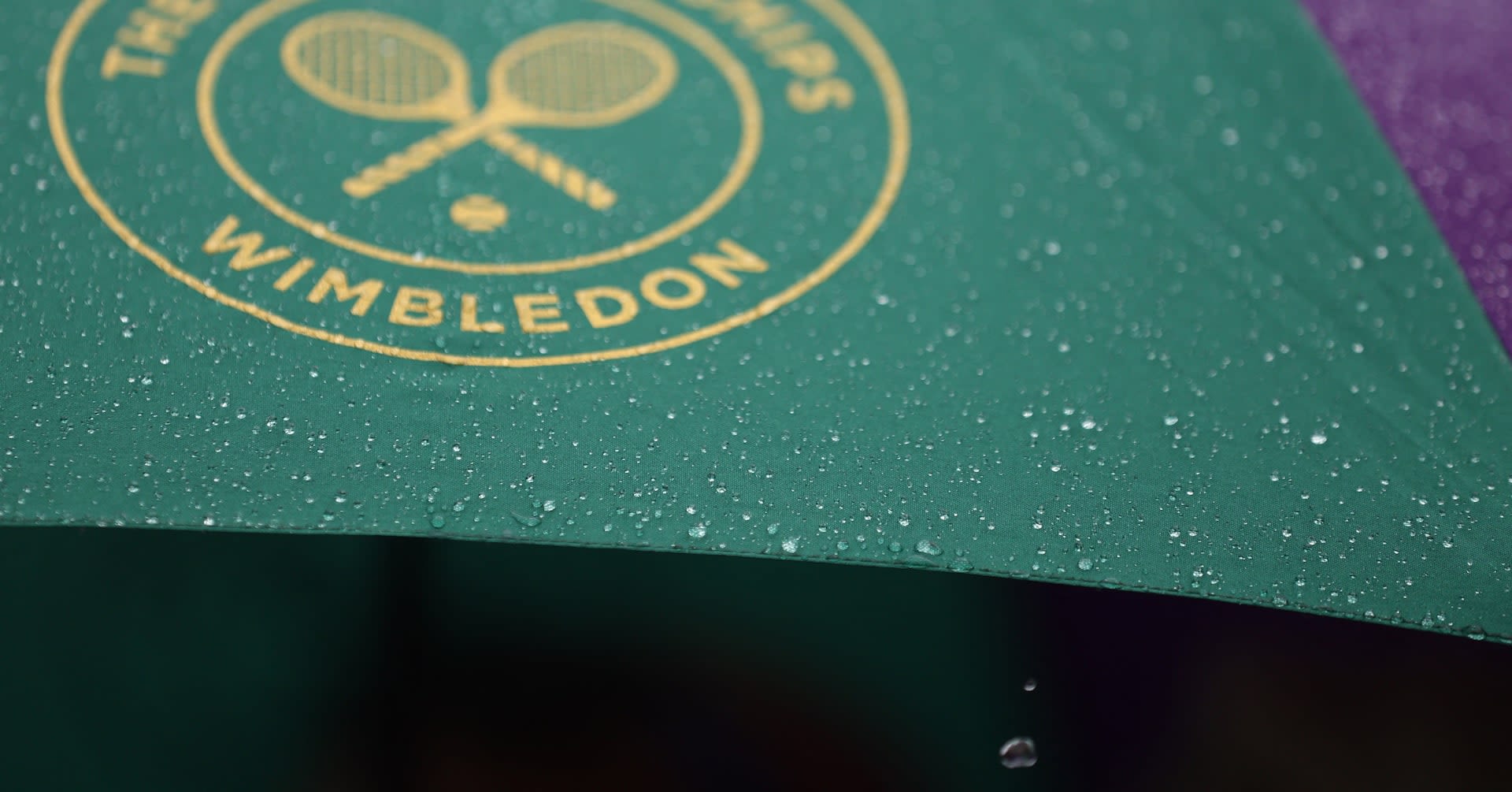 Wimbledon 2024: dates, schedule, seeds, how to watch on TV