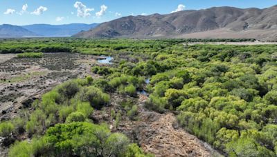 How a water scientist hopes to save California habitats that could be pumped dry