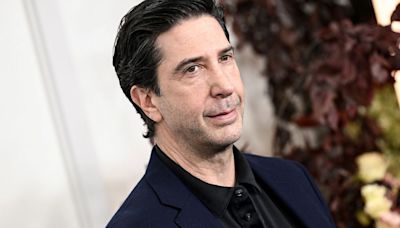 'It Would Have Made Me A Movie Star': David Schwimmer Names The Iconic 90s Film He Turned Down