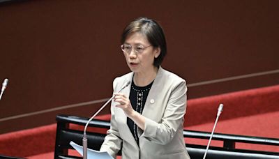 翁曉玲指立院訴訟書狀公開不完整 批憲法法庭穿小鞋