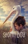 Storm Boy (2019 film)