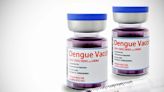 Dengue: el Gobierno negocia contrarreloj la compra de 160.000 vacunas para aplicar en áreas de alto riesgo
