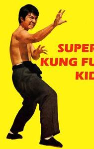 Super Kung Fu Kid