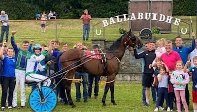 Limerick hurler Kyle Hayes records his first win in harness racing