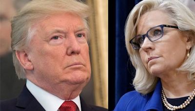 'Not a stable adult': Liz Cheney tells Trump exactly what makes him 'not fit for office'