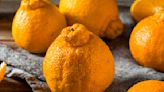 What the Heck Is a Sumo Citrus and How Do You Eat It?