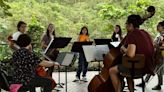Un festival de música clásica terminará sembrando árboles en Cundinamarca